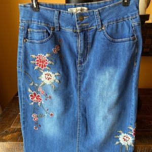 Embroidered Women’s Skirt